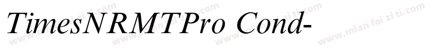 TimesNRMTPro Cond字体转换